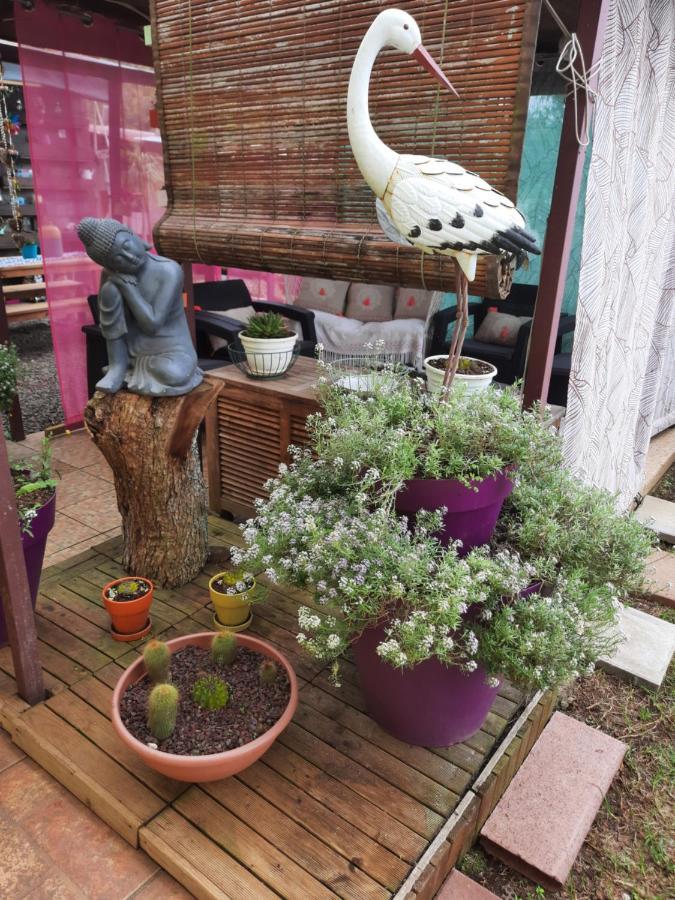 Chambres Et Table D'Hote Les Hortensias La Plaine des Cafres Exterior photo