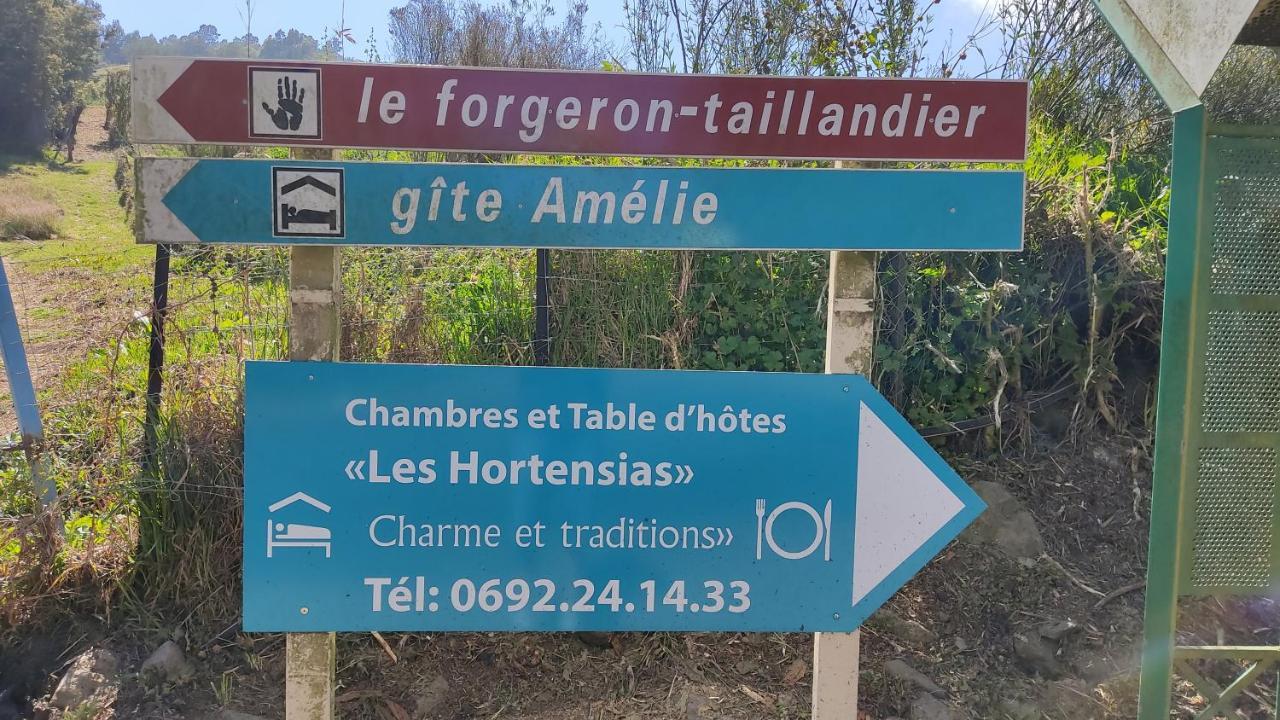Chambres Et Table D'Hote Les Hortensias La Plaine des Cafres Exterior photo